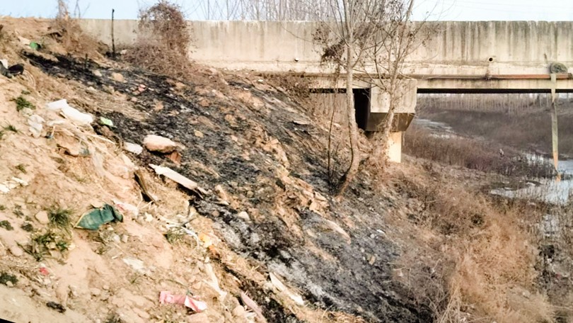 1737849930614312.jpg 01.jpg